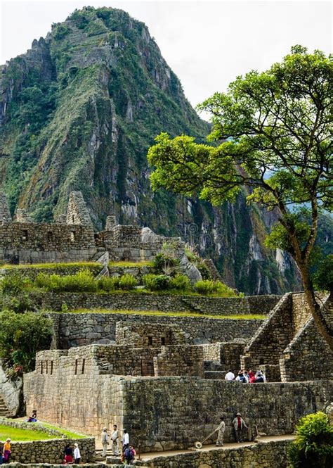 Peru May Machu Picchu Vertical Andes Peak Looms Over Ancient Ruins