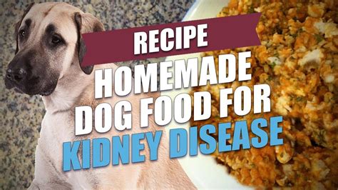 What To Feed Dogs With Renal Problems