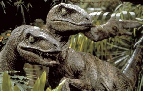 The Sound Of The Velociraptors Communicating With Each Other In Jurassic Park Is Actually The