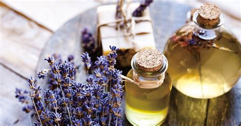 What Dilution Is Right For Essential Oil Massage Blends Aromahead Blog