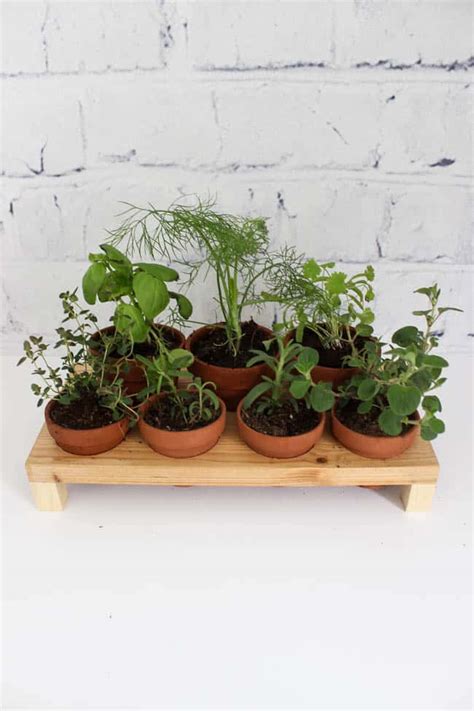 How To Build Your Own Indoor Herb Garden Love Create