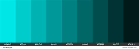 Aqua Colors Palette 00e6e6 00cccc 00b3b3 Colorswall