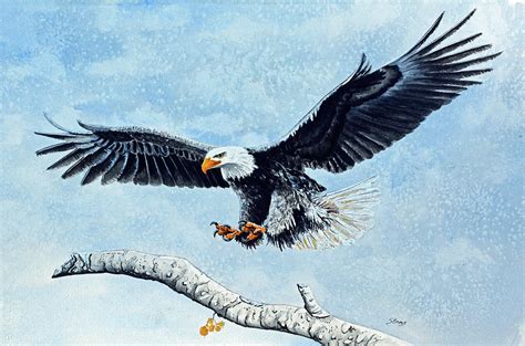 Bald Eagle Landing Painting By Stephen Emms Fine Art America