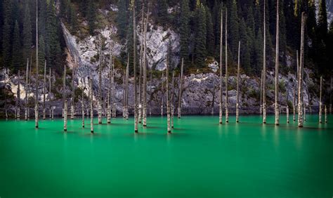 The Sunken Forest At Lake Kaindy Kazakhstan Sunken Forest Flickr