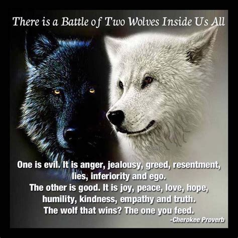 There Is A Battle Of Two Wolves Inside Us One Is Evil It Is Anger