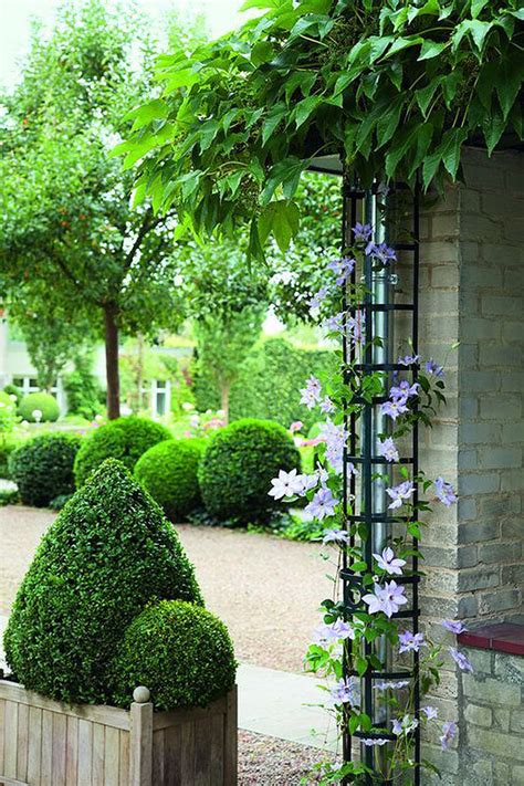 24 Best Diy Garden Trellis Projects Ideas And Designs For 2017