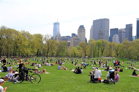 Best Time For Picnic Season In Central Park New York 2024 Roveme