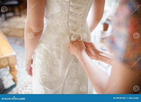 Bride Getting Dressed Stock Image Image 30181421