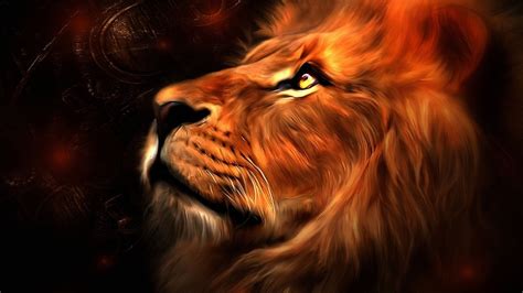 Search free black background wallpapers on zedge and personalize your phone to suit you. Fire Lion Wallpapers ·① WallpaperTag