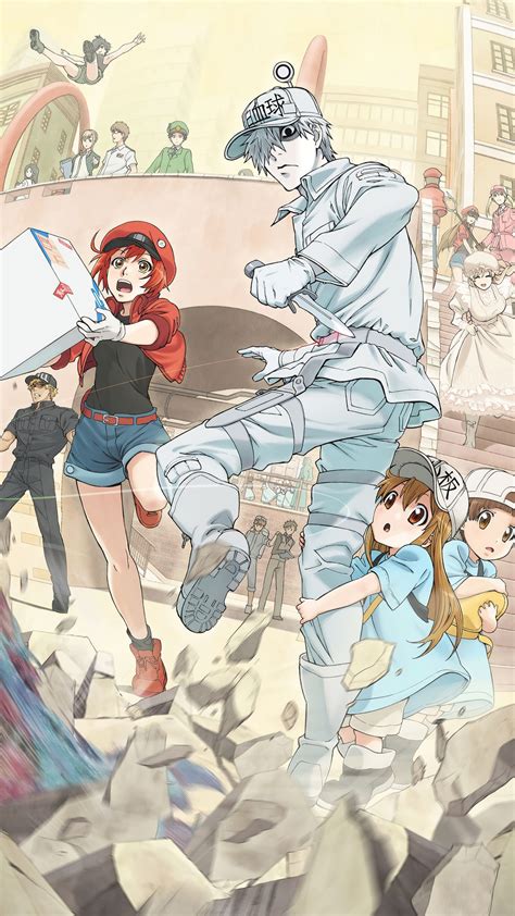 1390555 Cells At Work Code Black Hataraku Saibou Black Anime White