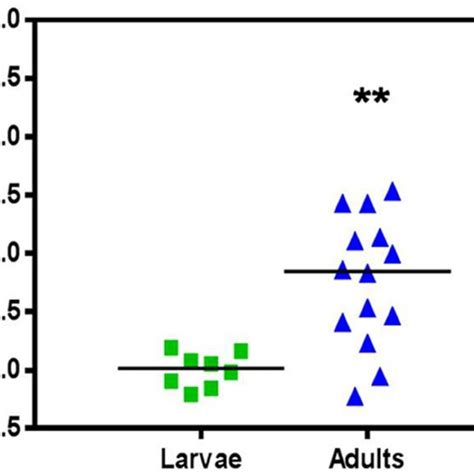 Chikungunya virus replication cycle | Download Scientific Diagram