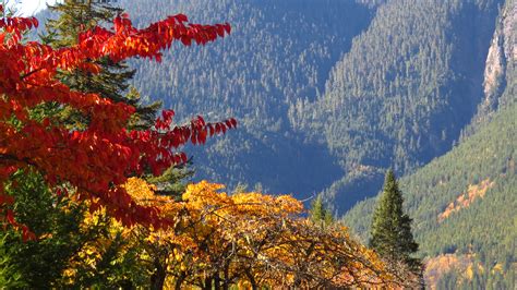 fall colors north cascades national park fall foliage at… flickr