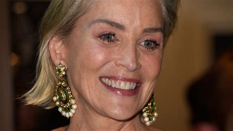 Sharon Stones Stroke Impaled Her Career After Nine Day Brain Bleed