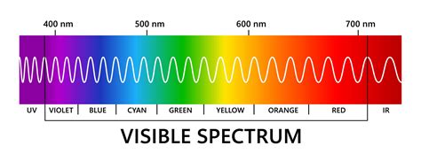 Visible Light Spectrum Infared And Ultraviolet Light Wavelength Electromagnetic Visible Color