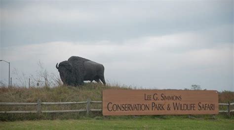 Lee G Simmons Conservation Park And Wildlife Safari Ashland Nebraska