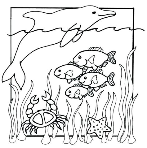 Underwater Animals Coloring Pages At Free Printable