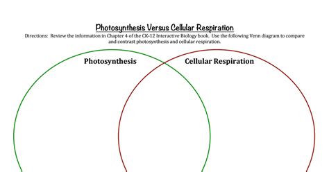 Photosynthesis Vs Cellular Respiration Venn Diagram Uploadard