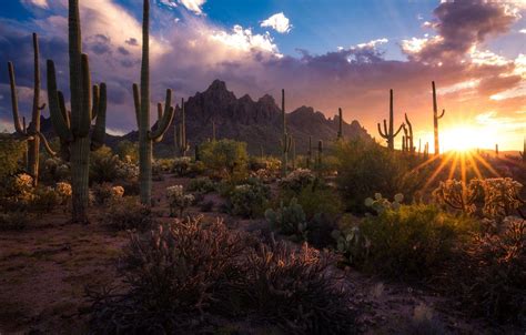 Arizona Desert Sunset Wallpapers 4k Hd Arizona Desert Sunset