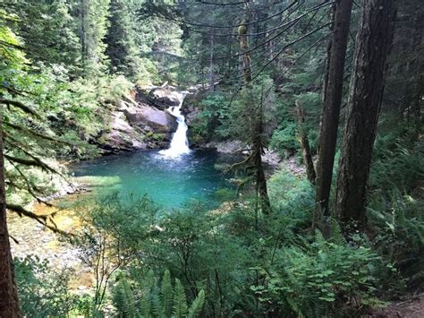 The Siouxon Trail Is One Of The Best Waterfall Hikes In Washington