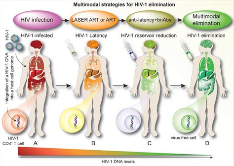 Pathways Towards Human Immunodeficiency Virus Elimination Ebiomedicine