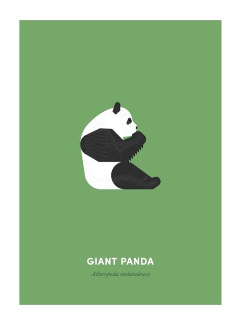 Endangered Animals Panda Giant Panda