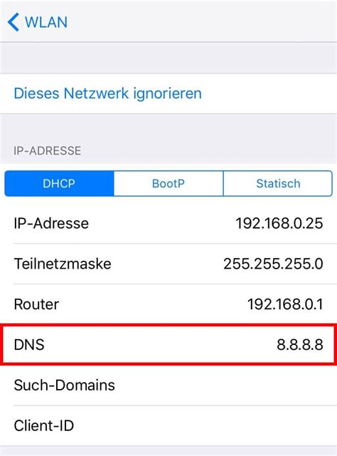 Ersetzt die einstellung von dns suffix for this connection pro nic. iPhone DNS Einstellungen ändern & Safari schneller machen