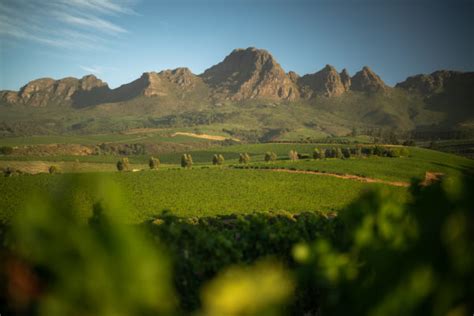 The Ultimate Wine And Dine Affair With Ernie Els Wines