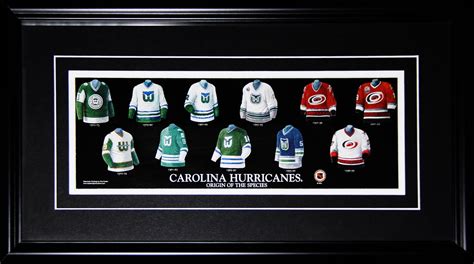 Though it was discussed that the new england patriots would move to hartford the following year, the departure of the whalers was the last time that a major professional. Carolina Hurricanes Hartford Whalers Jersey Evolution NHL Hockey Collector Frame | eBay