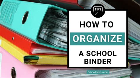 How To Organize A School Binder Tips And Examples Tafe Online