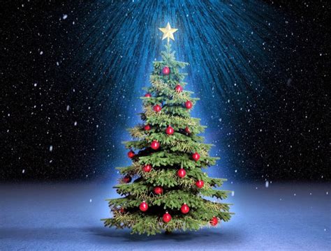 Origen Del árbol De Navidad 7 Datos Que No Sabes Viajabonito