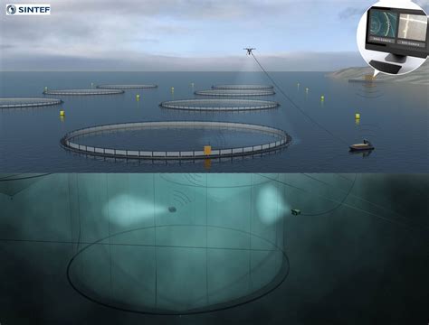 Aquaculture Norwegian Researchers Work On