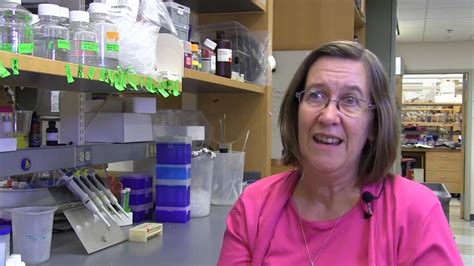 Jill Zitzewitz Is Unraveling Protein Misfolding To Understand