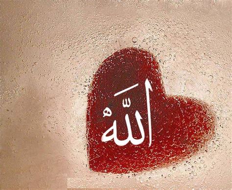 Words Of Yahya Al Noor Love Me Allah Thats All I Need
