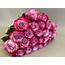 Two Dozen Deep Purple Roses The Rosarium  Premium Flower Delivery