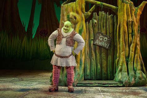 Disney Storybook Shrek Shrek Costume