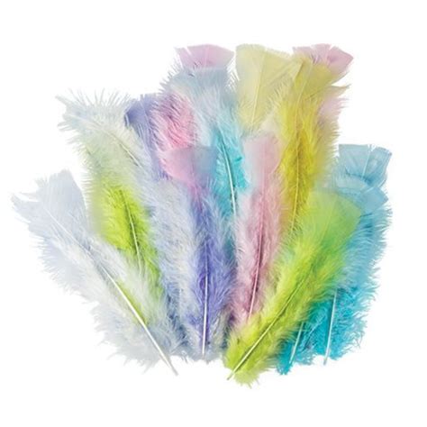 Pastel Feathers By Zart