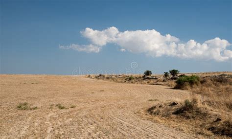 Farmland After Harvesting With Blue Sky And Clouds Stock Photo Image