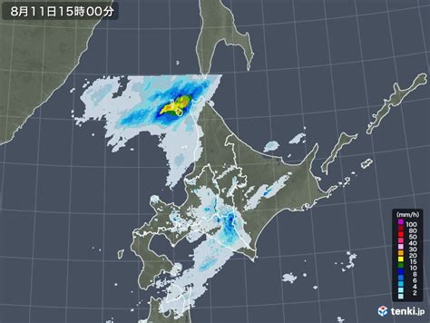 北海道地方の過去の雨雲レーダー(2020年08月11日) - 日本気象協会 tenki.jp