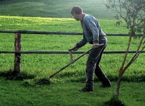 How soon can you cut grass after it rains? Mowing the Lawn Without Pollution | Earth 911