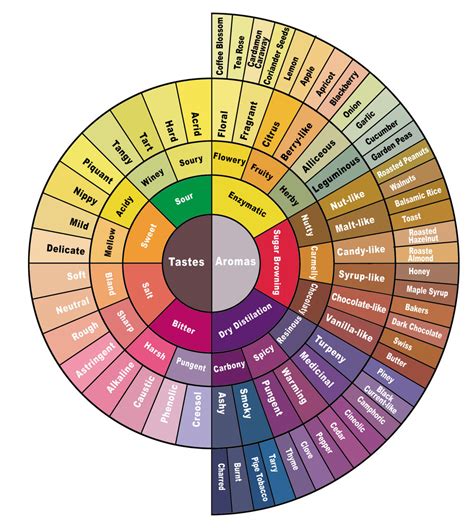 Coffee Tasting Profiles — Guide 2 Coffee
