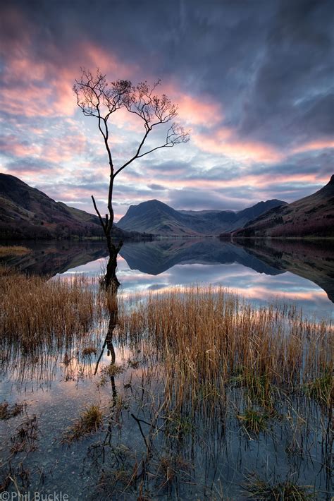 Lone Tree Buttermere Lone Tree Landscape Photos Nature Pictures