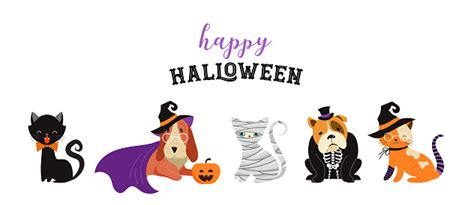 Happy Halloween Cats And Dogs In Monsters Costumes