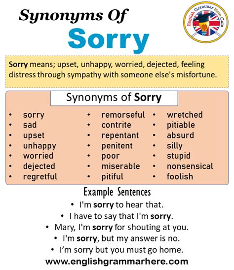 Synonyms Of Sorry Sorry Synonyms Words List Meaning And Example