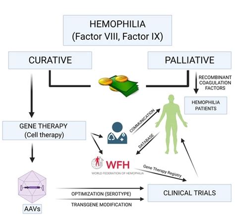 Ijms Free Full Text Gene Therapy In Hemophilia Recent Advances