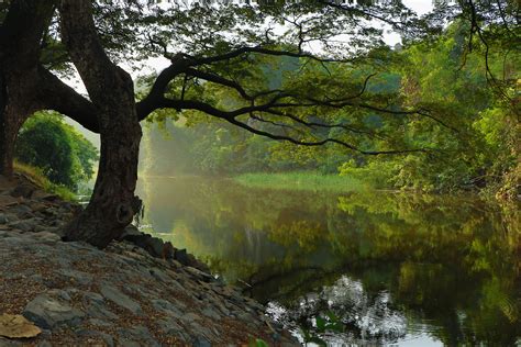 Free Images Landscape Tree Water Nature Forest Outdoor