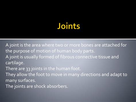 Ppt Anatomy Of The Foot Powerpoint Presentation Free Download Id