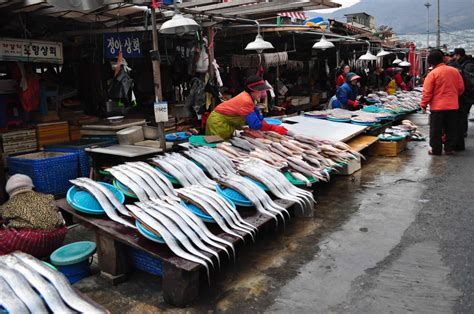 Geoje Island Adventure Busan Jagalchi Fish Market