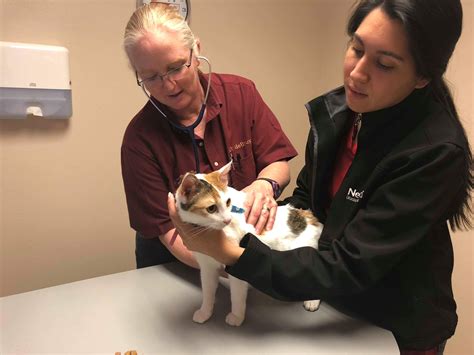 Feline Friendly Mission Veterinary Hospital