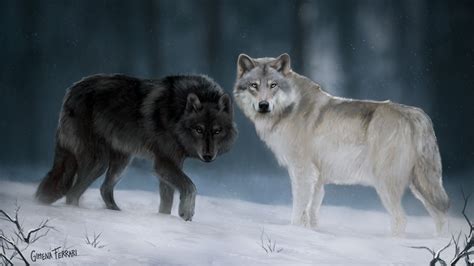 Artstation A Tale Of Two Wolves