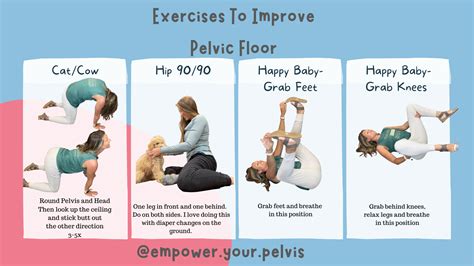 4 Best Exercises For The Pelvic Floor Empower Your Pelvis
